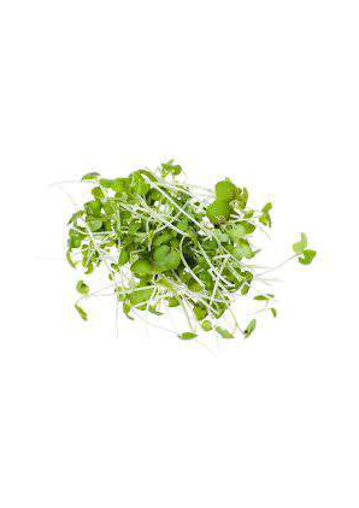 Mustard cress Pack