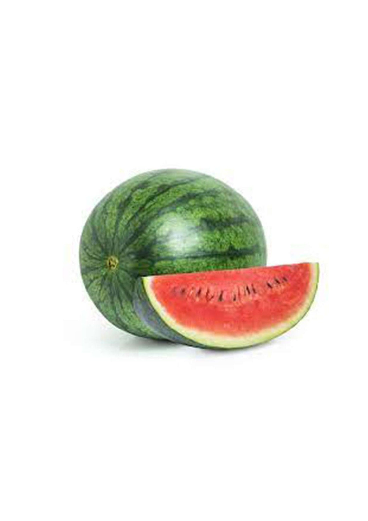 WATER MELON SMALL