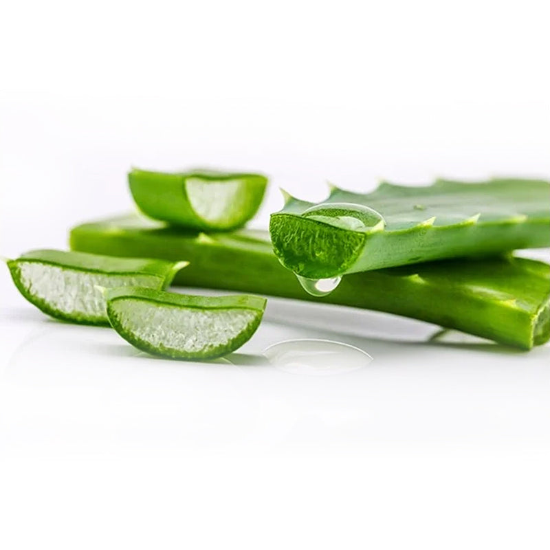 ALOE VERA (each)