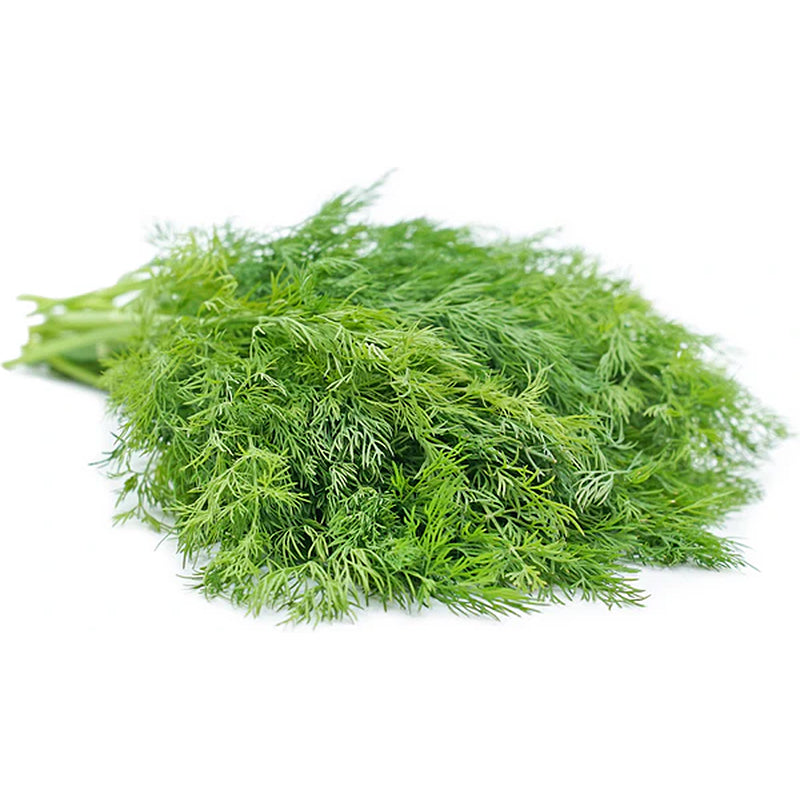 Dill (each)
