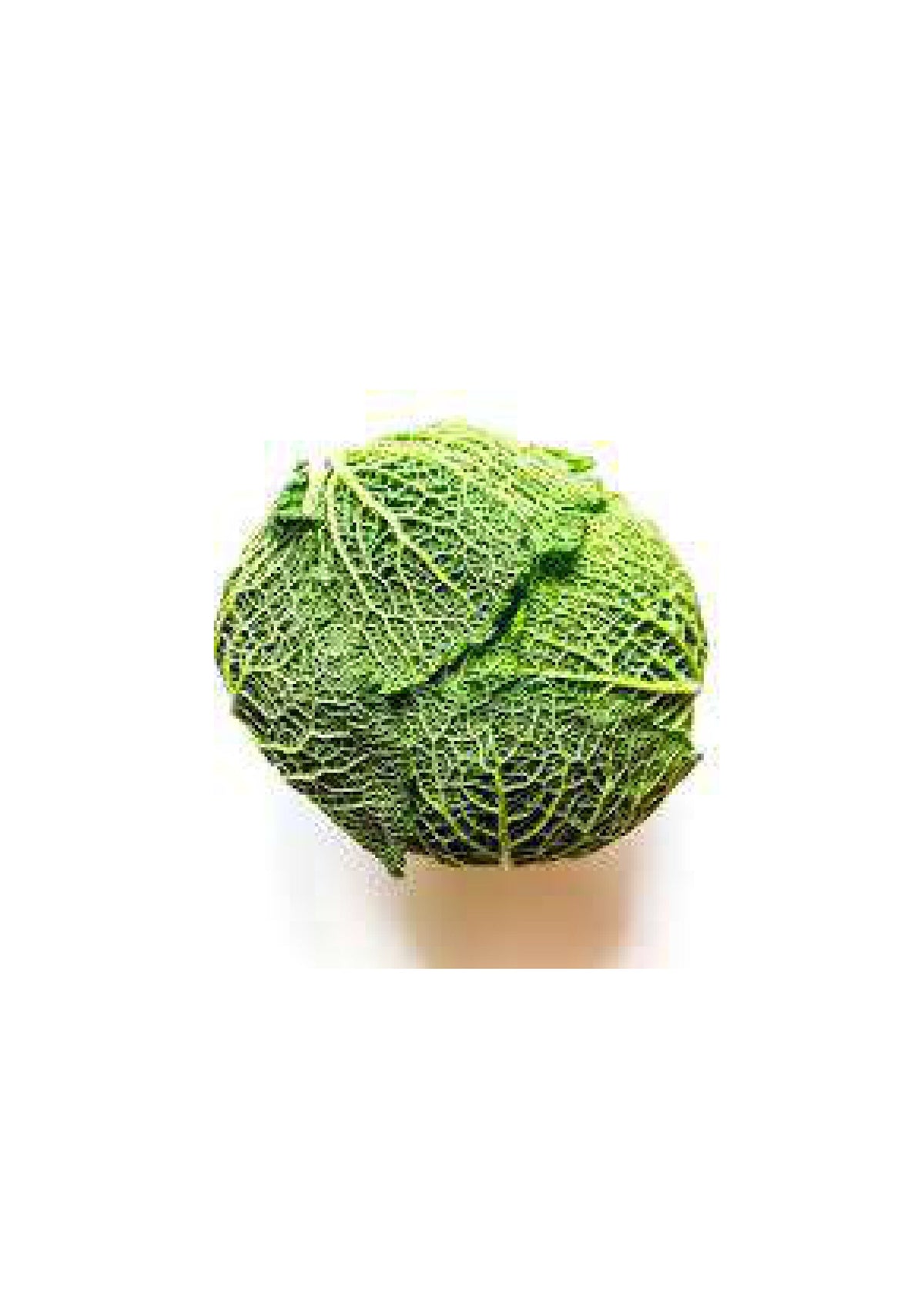 Cabbage savoy each