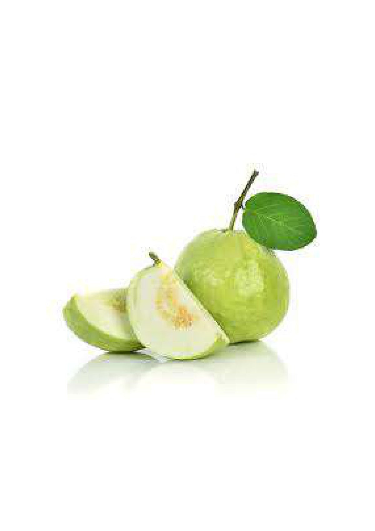 GUAVA PAKISTAN