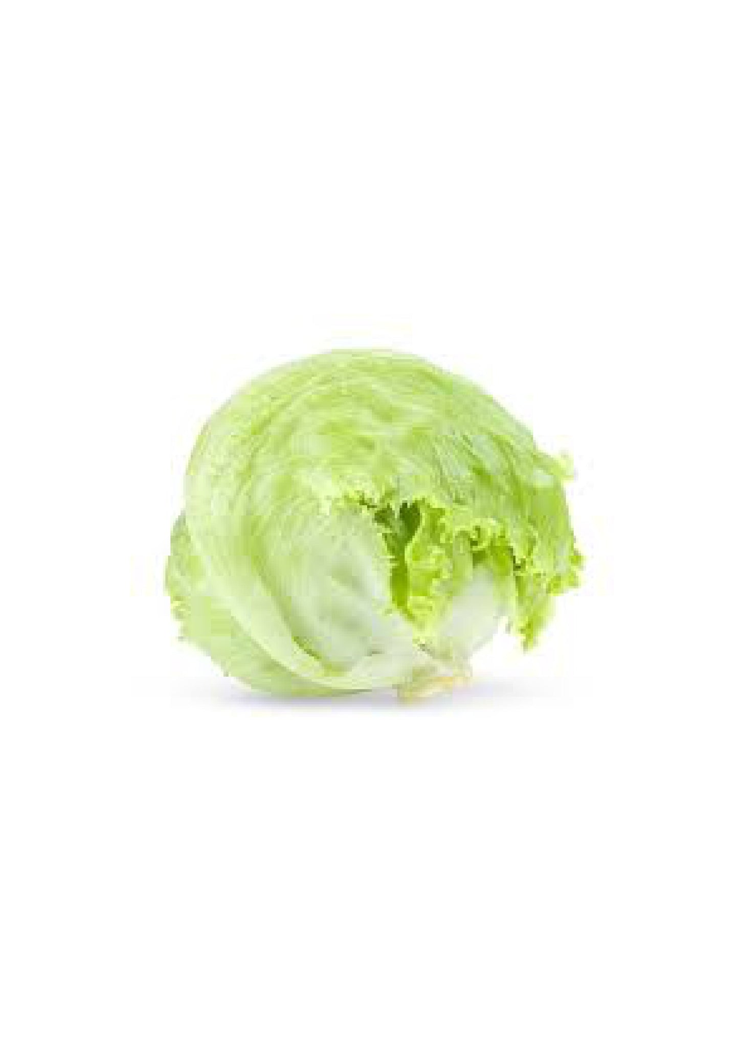 Round lettuce (each)