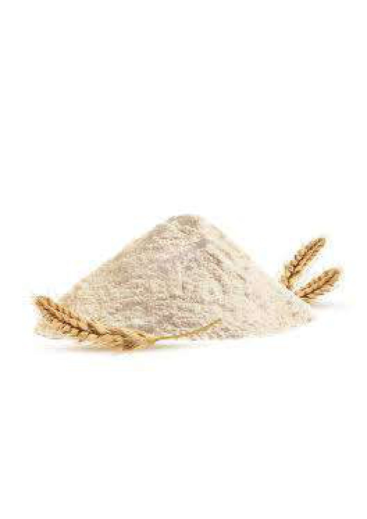 Atta ashirvad 10kg