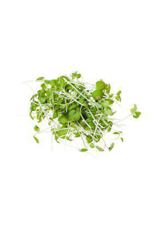 Mustard cress Pack