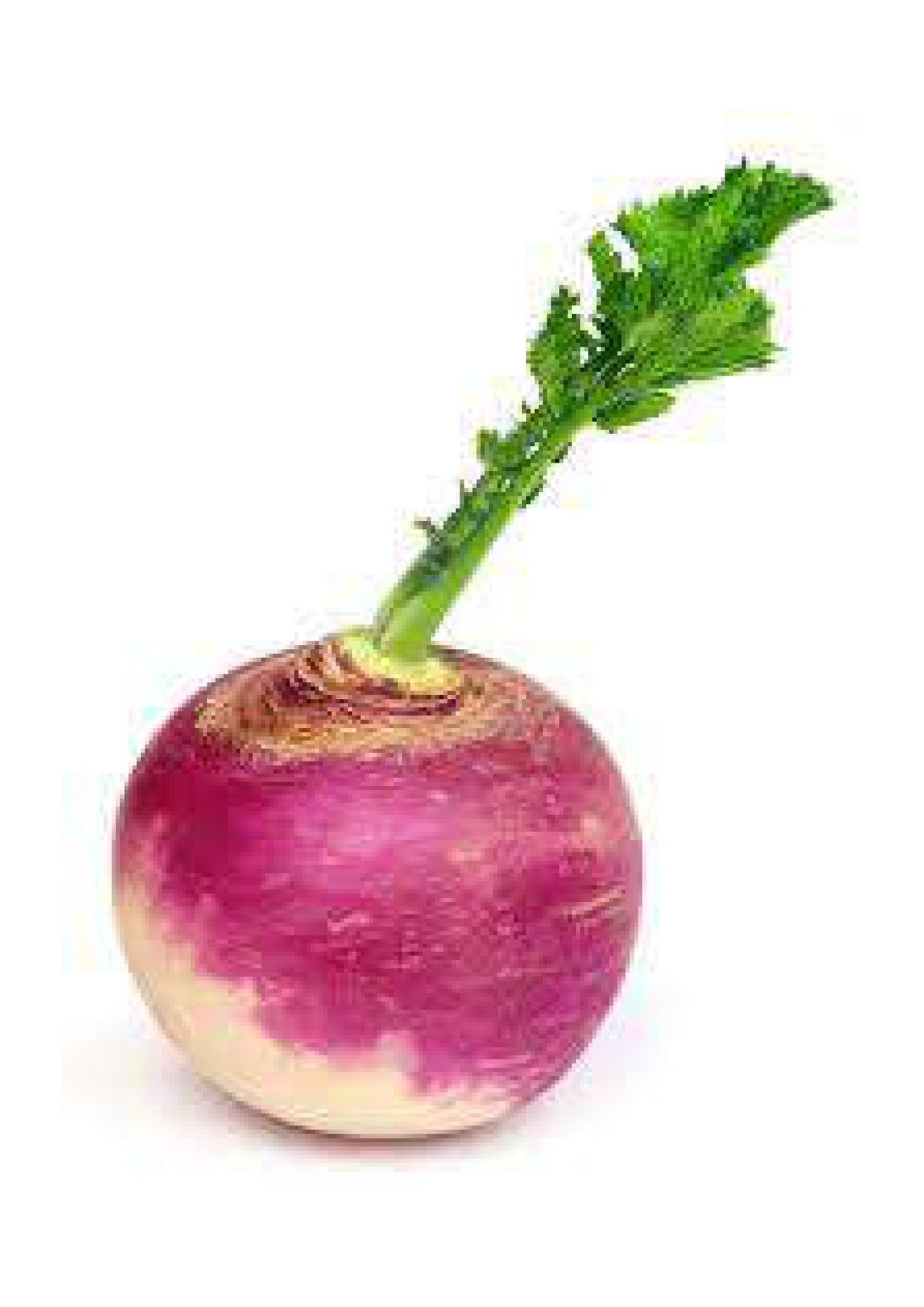 TURNIP (500gm)