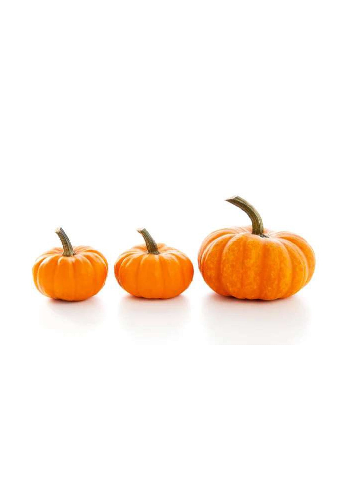 LARGE HALLOWEEN PUMPKIN