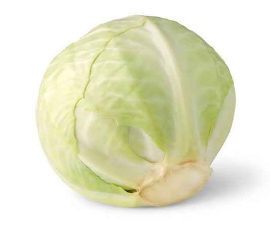 Cabbage white each