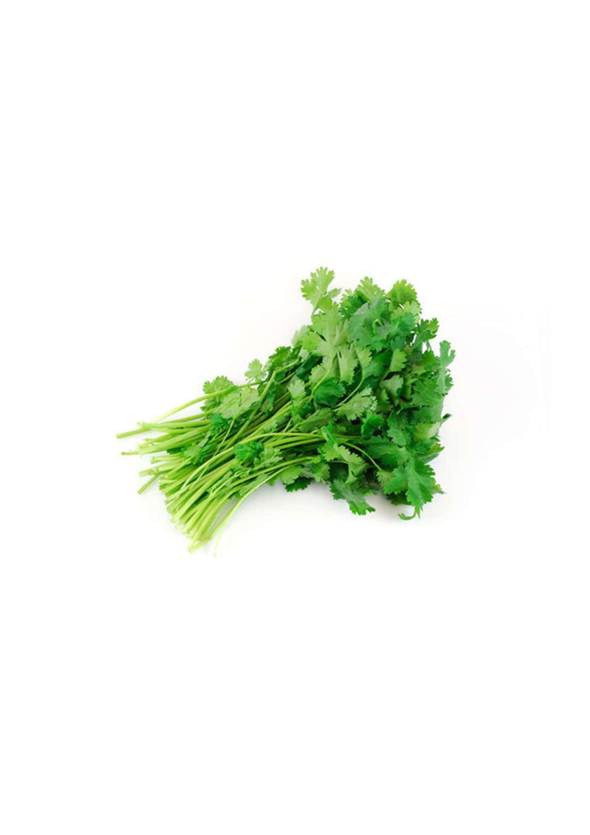 Coriander Bag