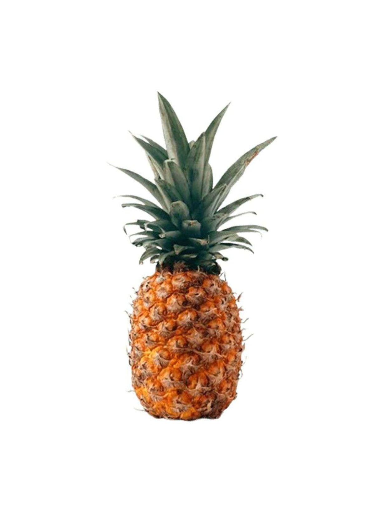 small pineapple