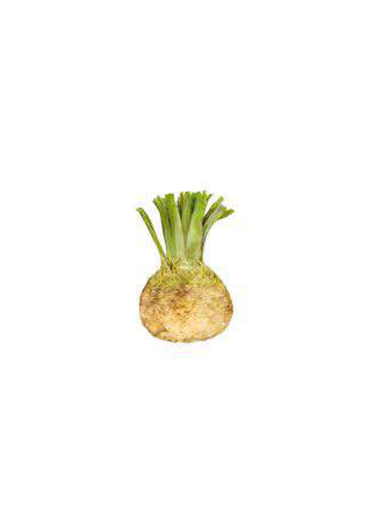 Celeriac each