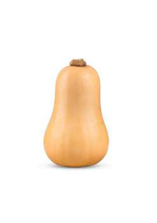 Butternut Sqaush