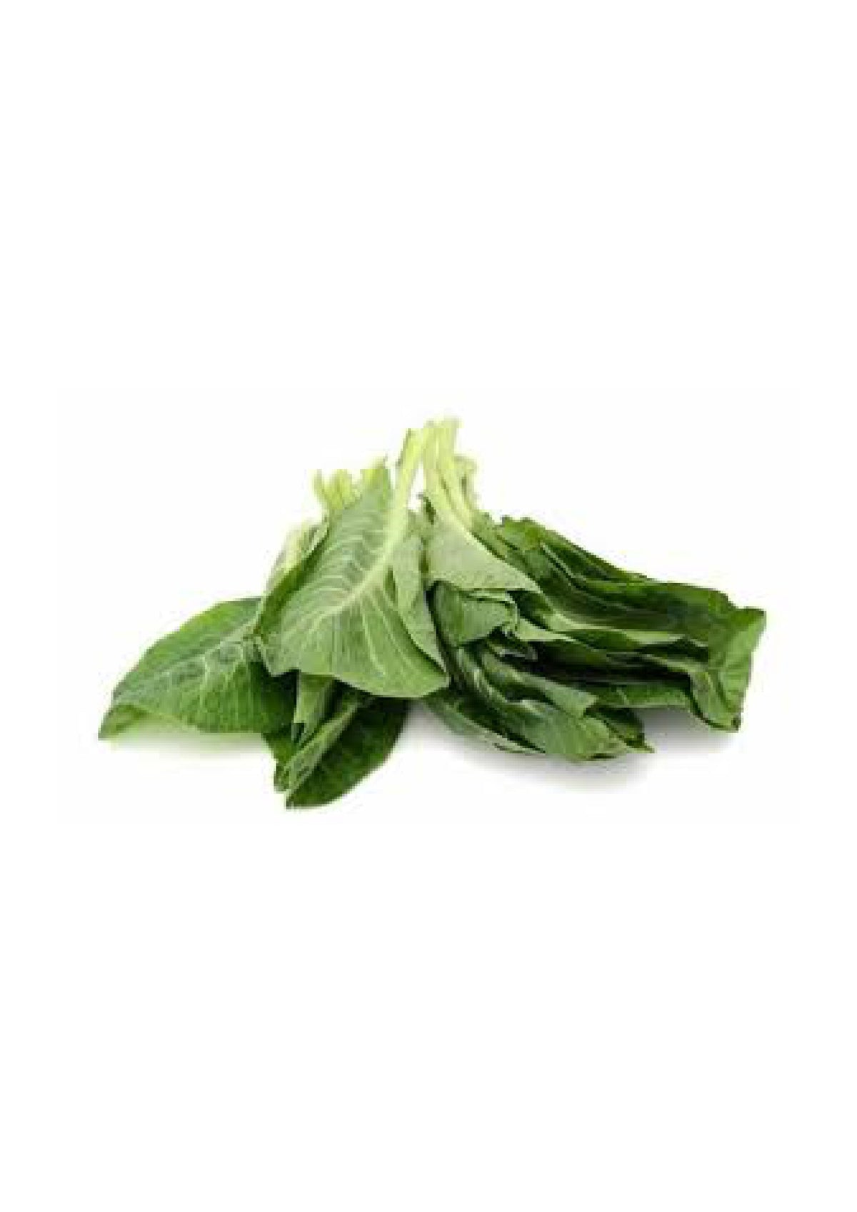 Saag loose