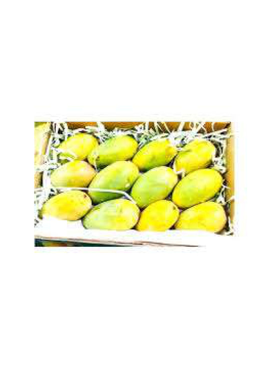 KESAR MANGO X12