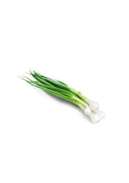 FRESH GREEN GARLIC