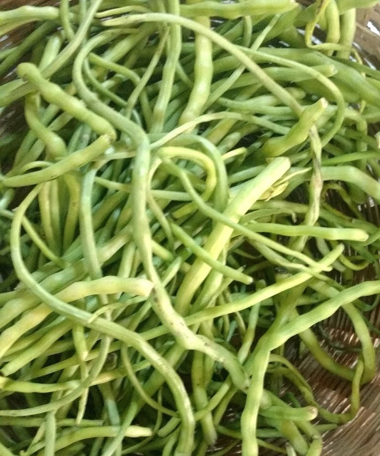 MUNGRA