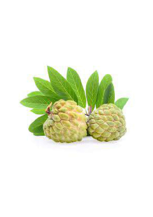 Custard Apple India