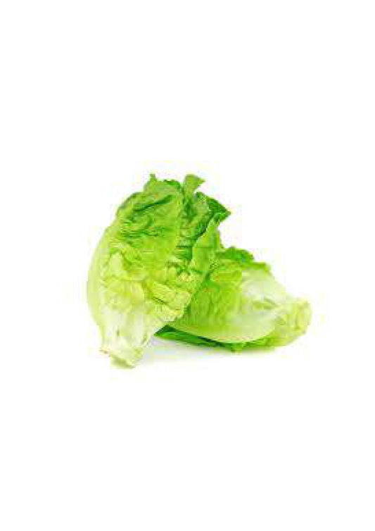 Lettuce Cos each