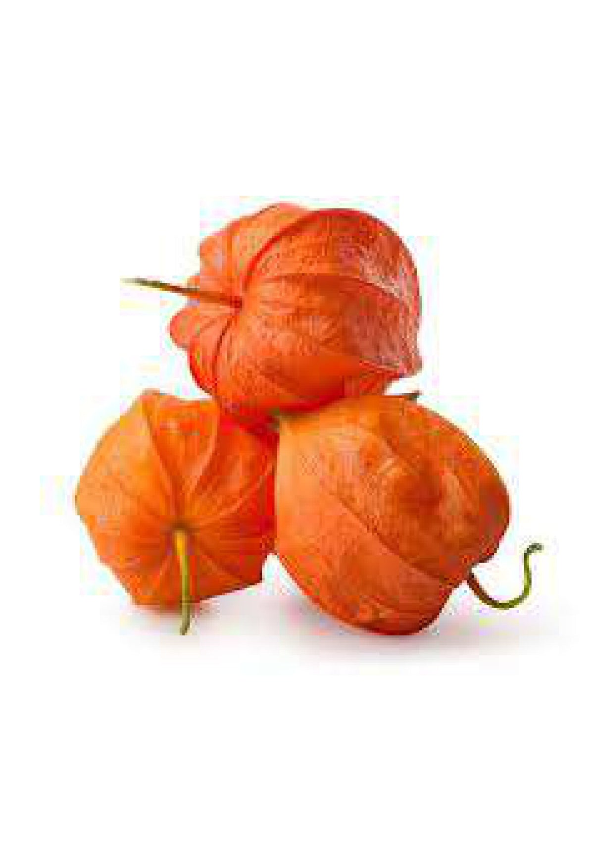 Physalis pack each