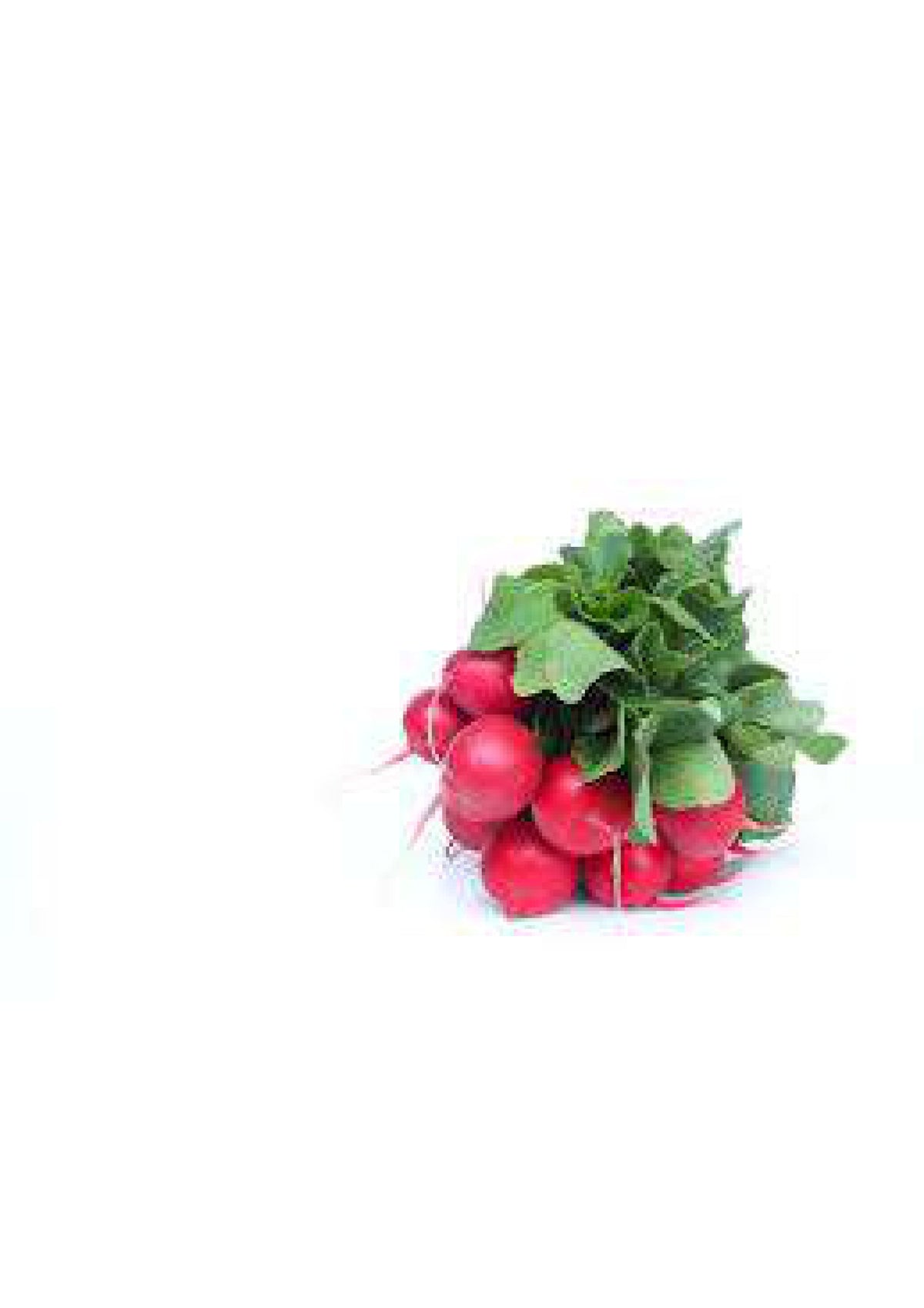 Radish Bunch each