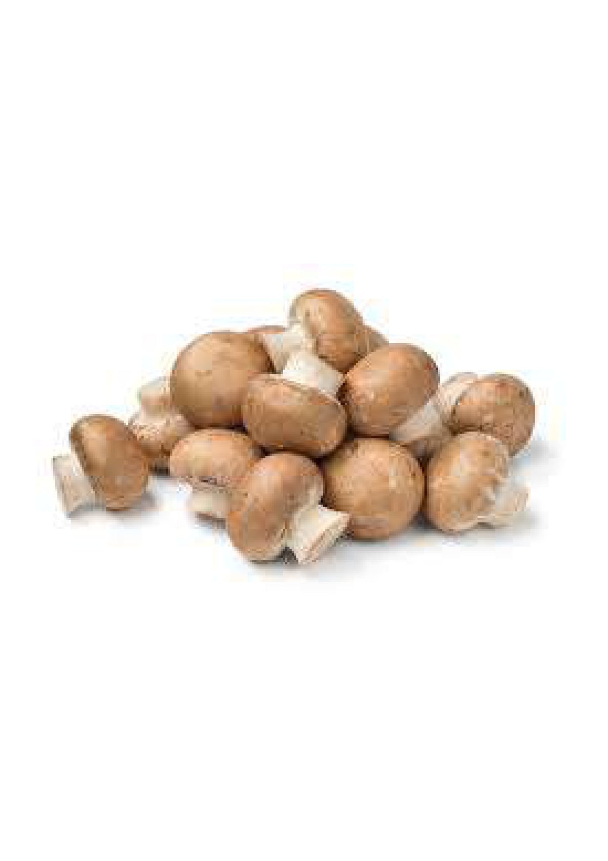 Mushroom chestnut (250gm)