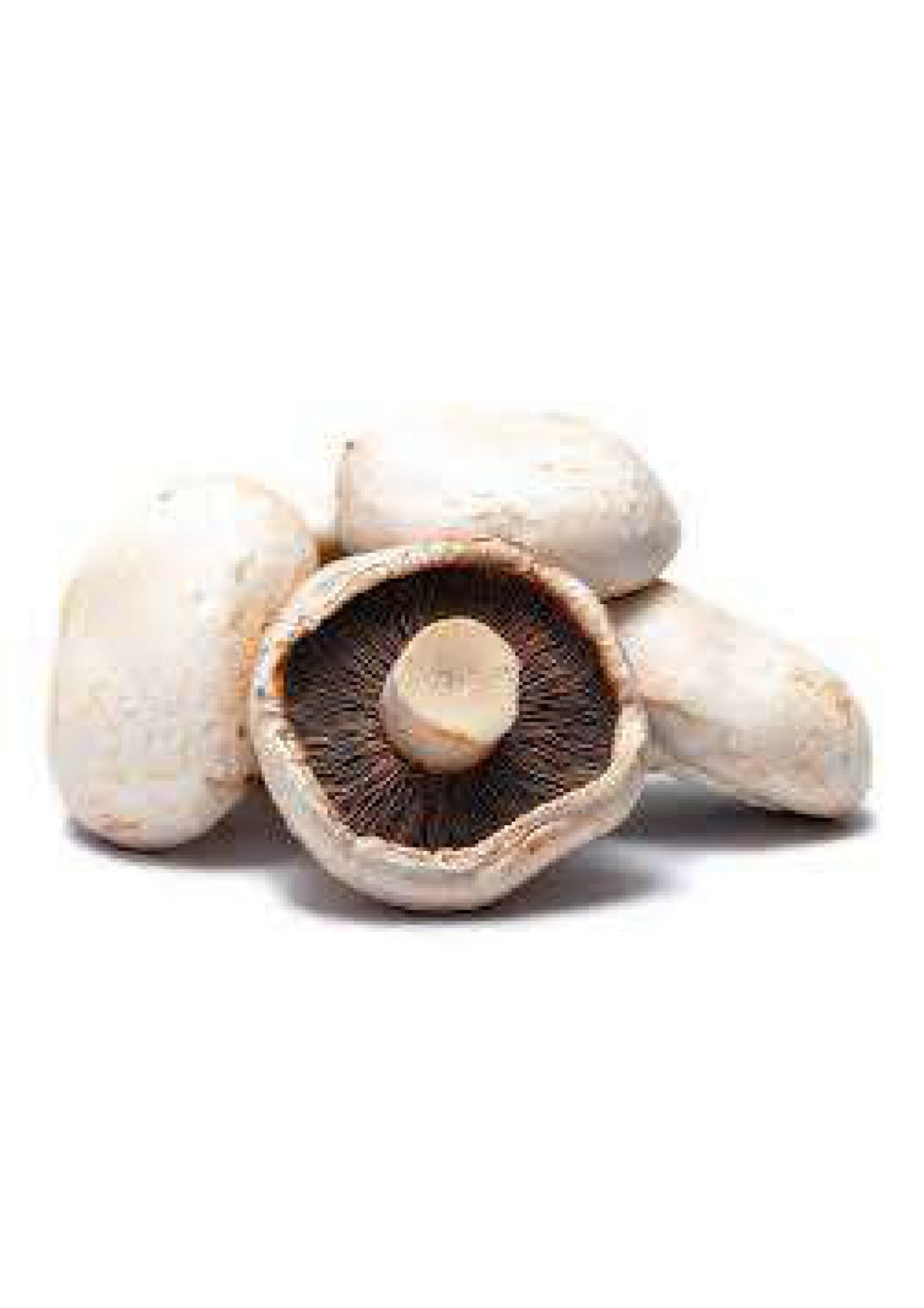 Mushroom flat (250gm)
