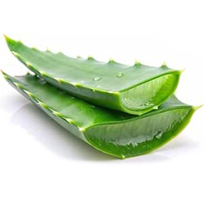 ALOE VERA (each)