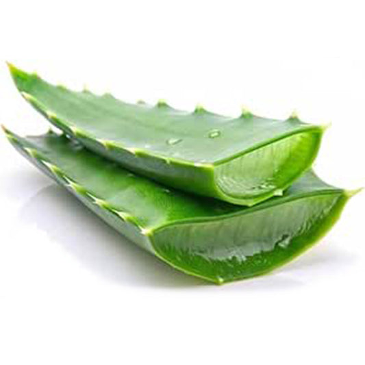 ALOE VERA (each)