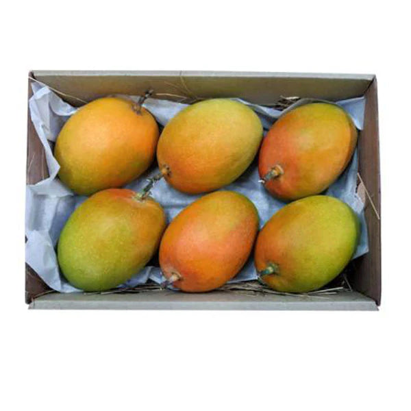 Alpanso MANGO 6pcs