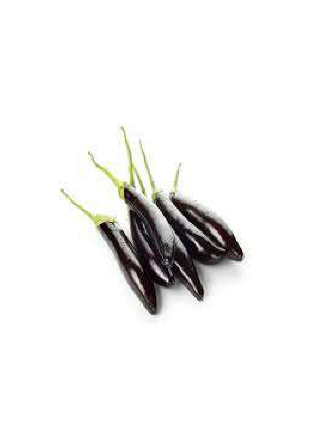 Aubergine Kenya