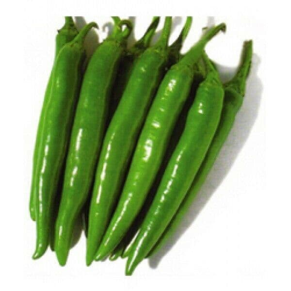 CHILLI LONG GREEN (250gm)