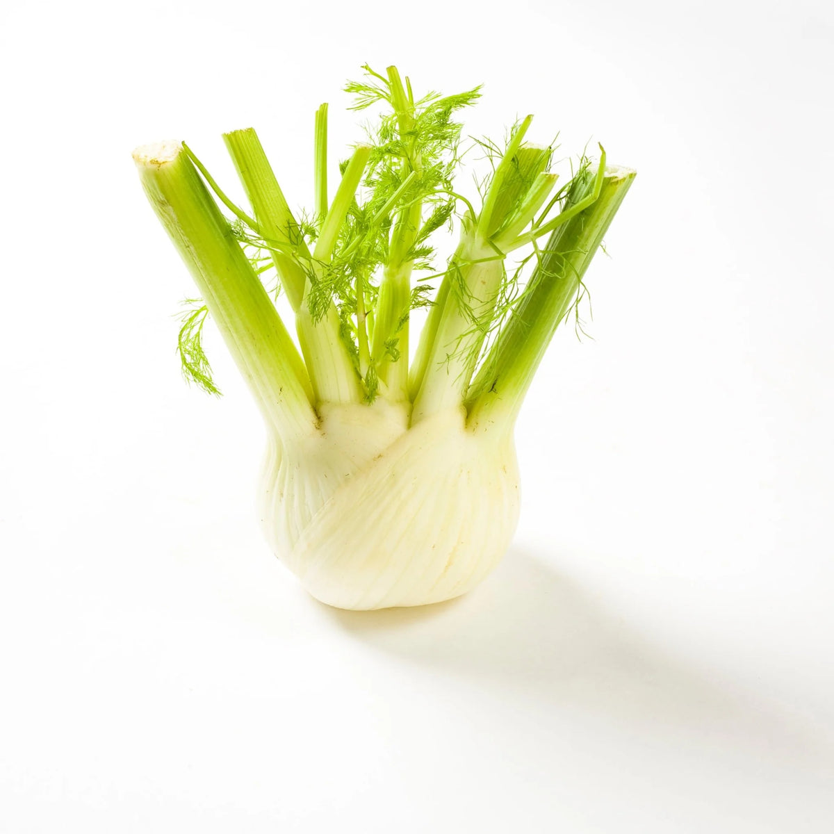 Fennel (250gm)