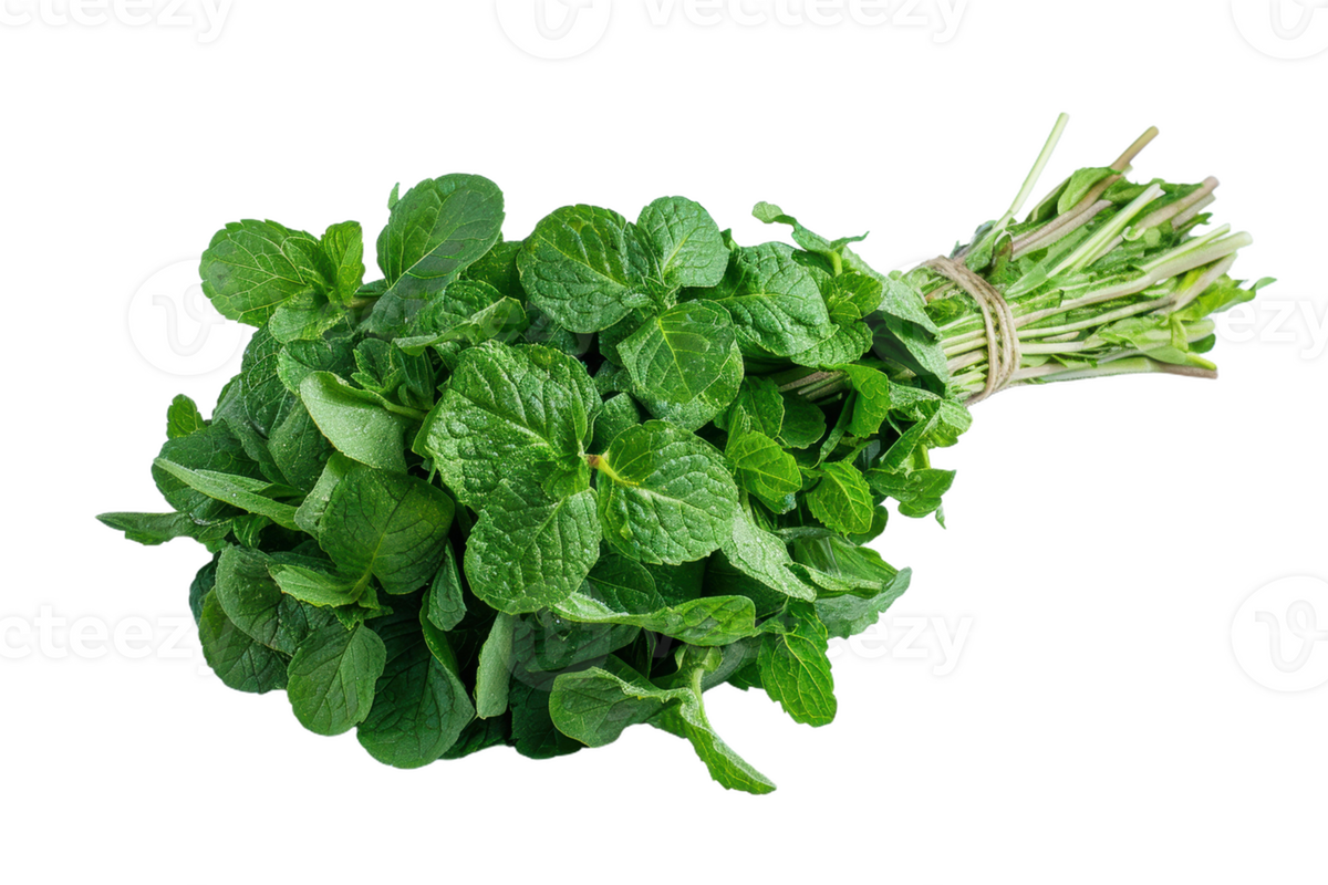 Mint (each)