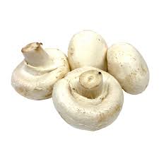 Mushroom cup 250 gm