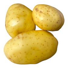 POTATO JACKET (Each)