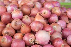 Indian onion loose 500g