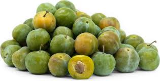 GREEN PLUM /  GREEN GAGES