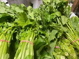 SAAG (each)