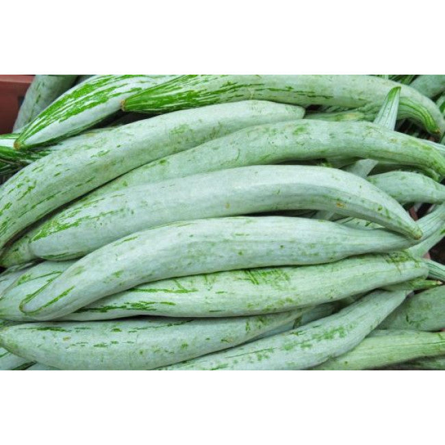SNAKE GOURD 1KG