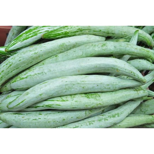SNAKE GOURD 1KG