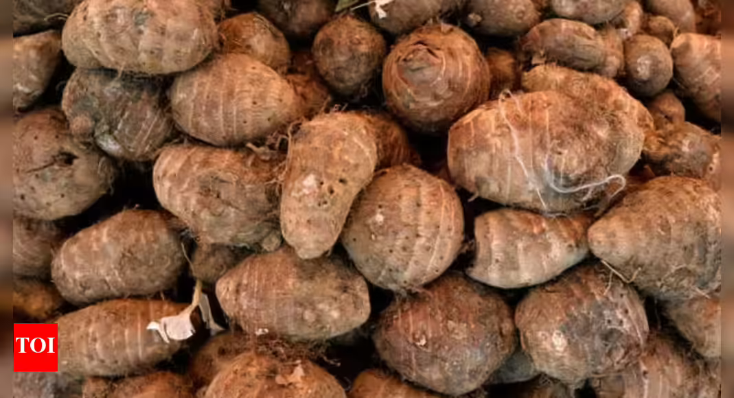 ARBI (500gm)