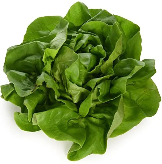 Round lettuce (each)