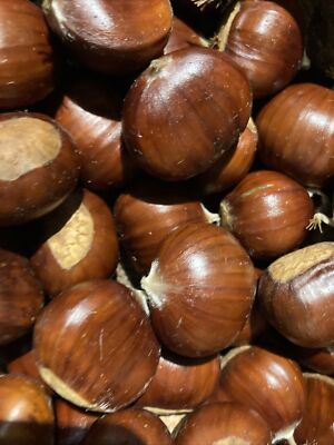 Chesnut 1kg bag