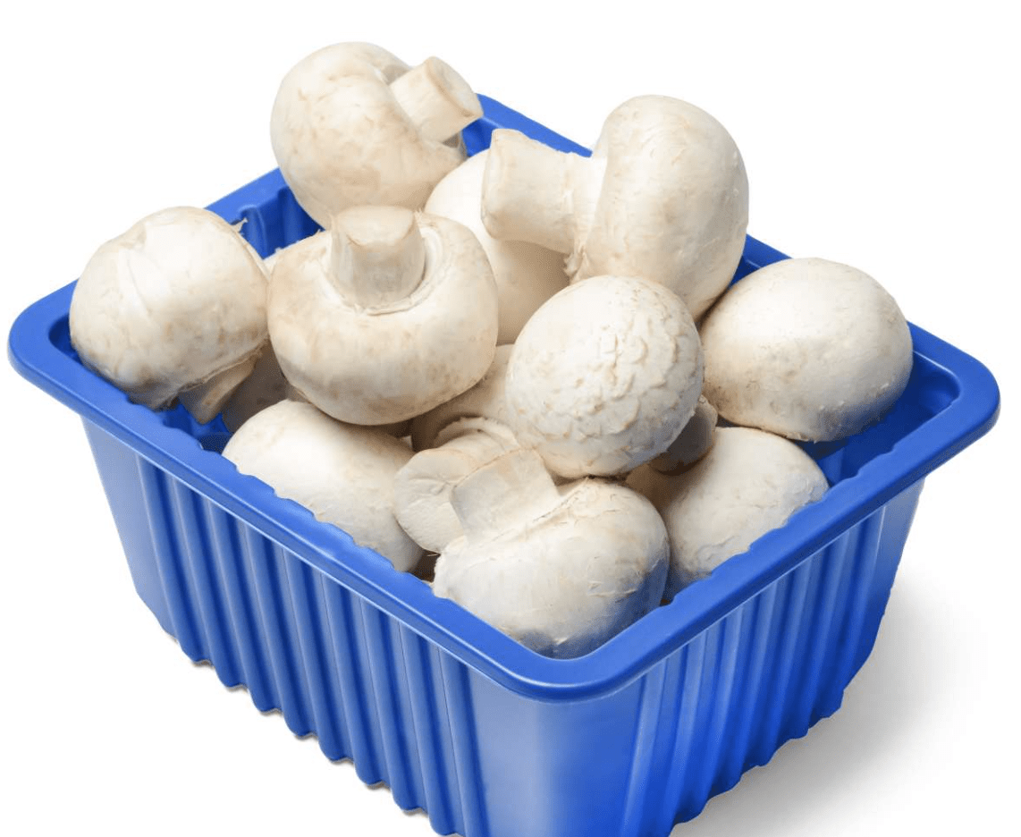 Mushroom PP each