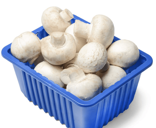 Mushroom PP each